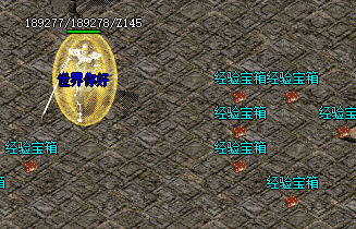 告别慢节奏，双倍经验下的高效成长之路